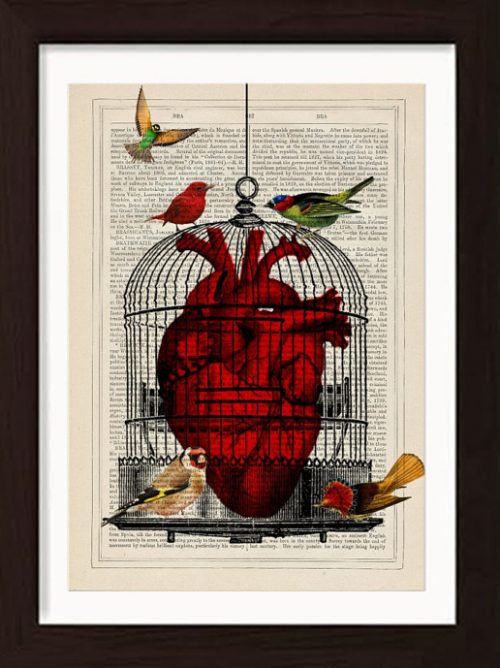 image of an anatomical heart in a birdcage with birds