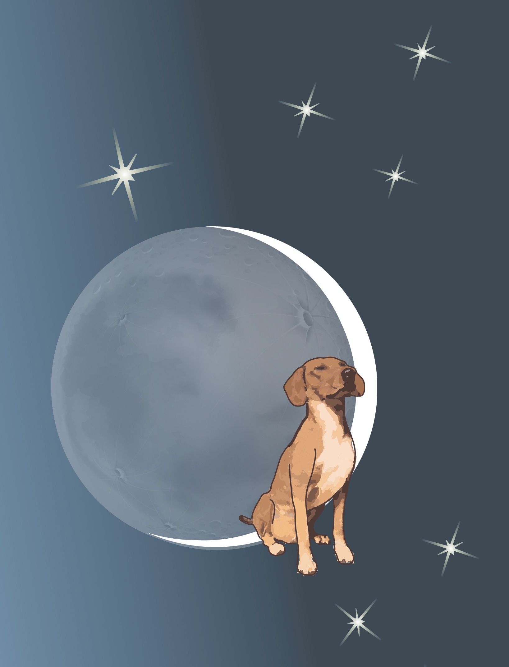 Apollo dog with moon and stars