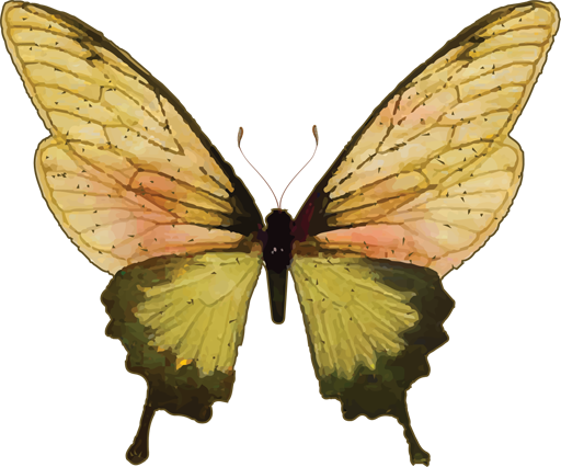 Badass Butterfly Logo