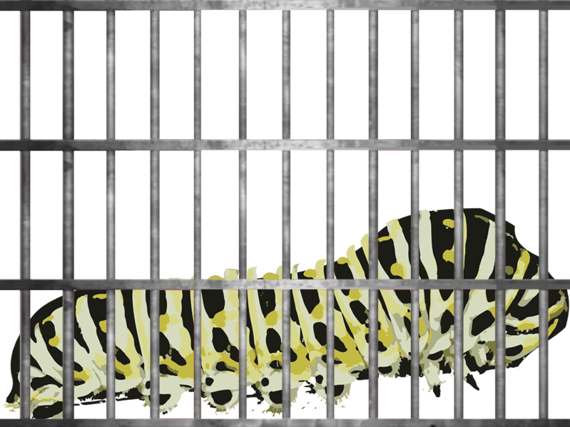 Caterpillar in prison of unworthiness