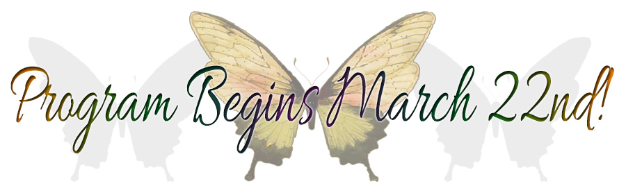 Banner NUMBER 2 copy Banner NUMBER 2 copy